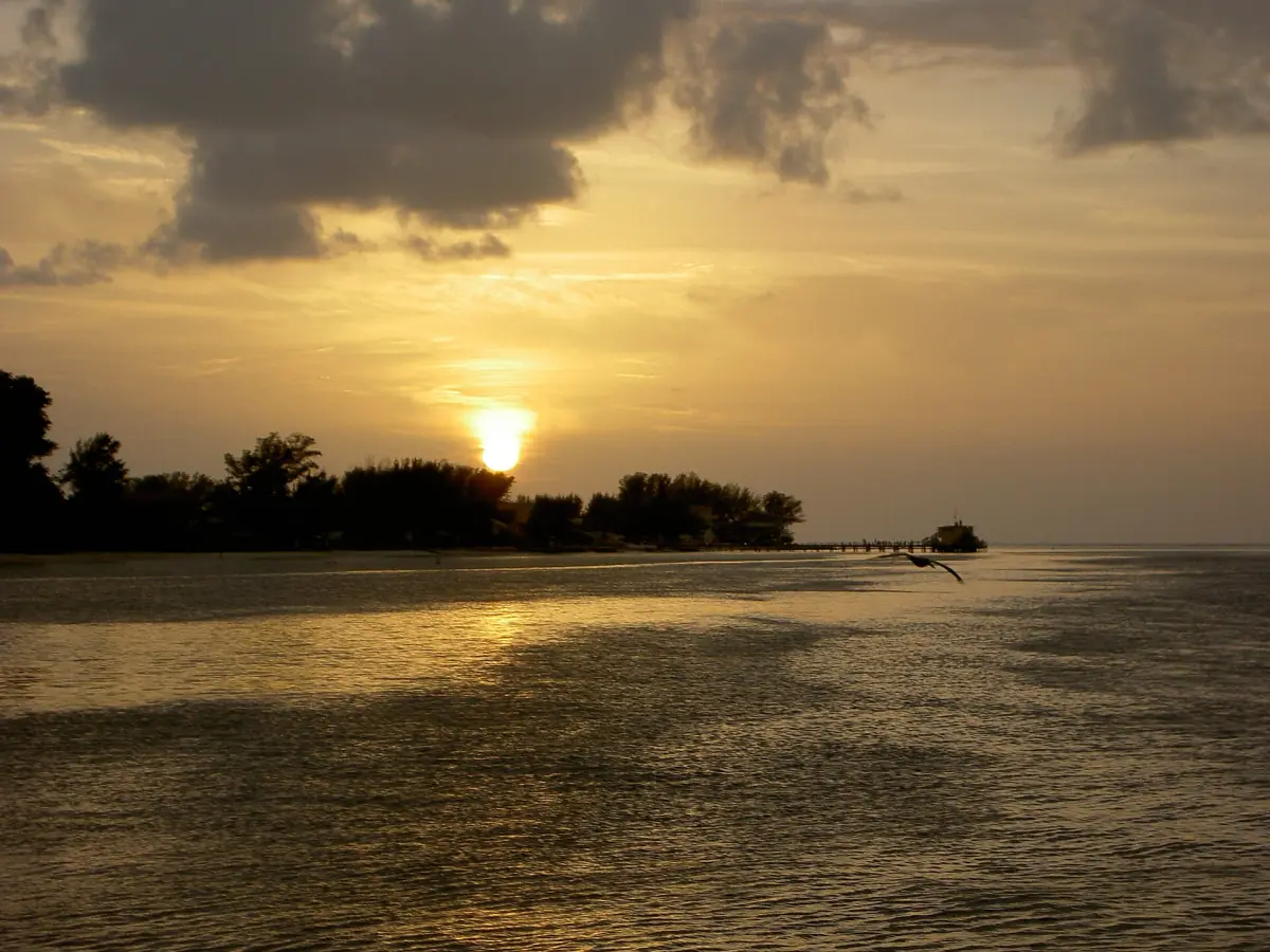 Sun setting behind a small tree-lined island over the bay