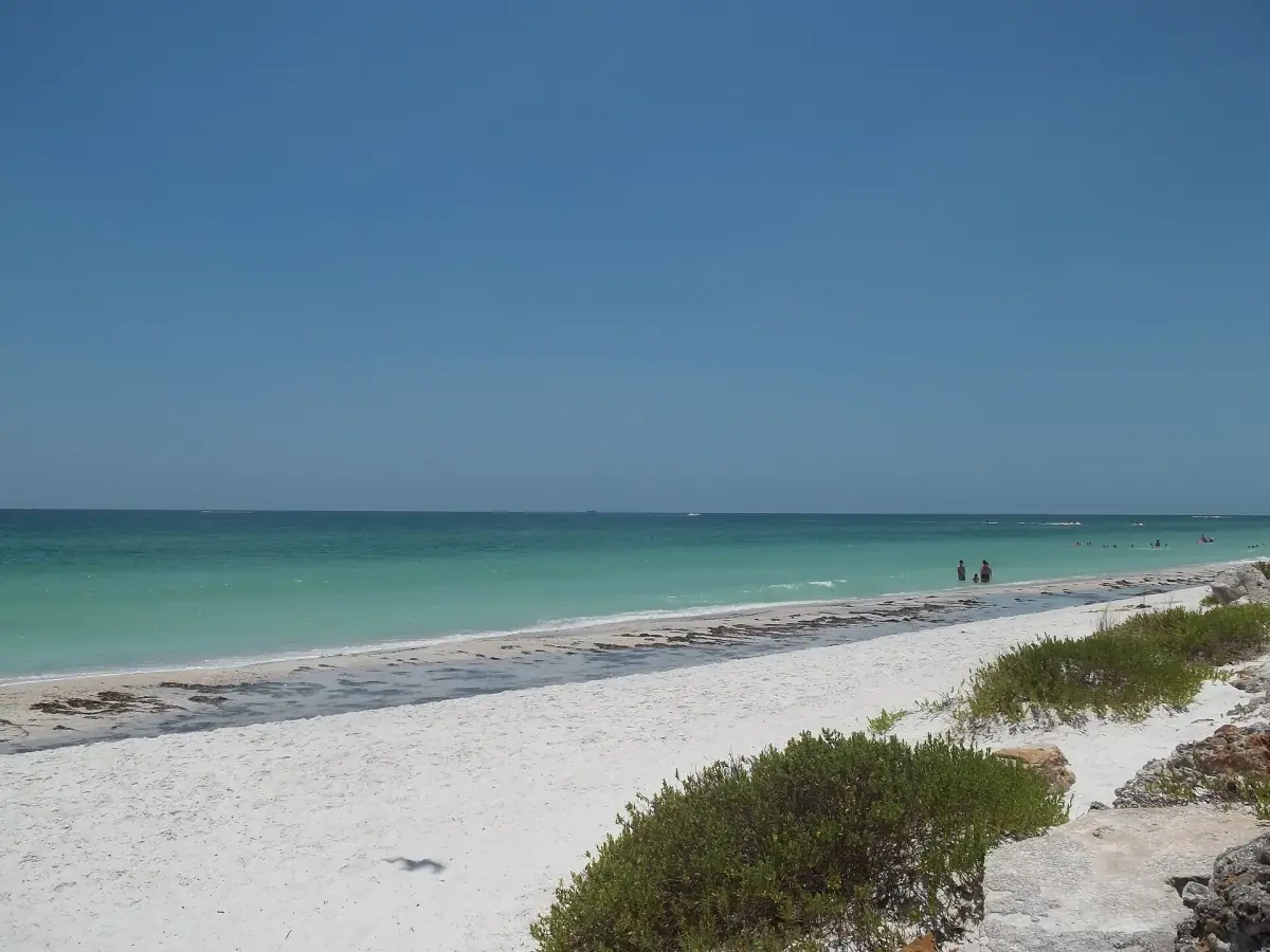 Turquoise Gulf water and white sand with dune plants on Bradenton Beach
