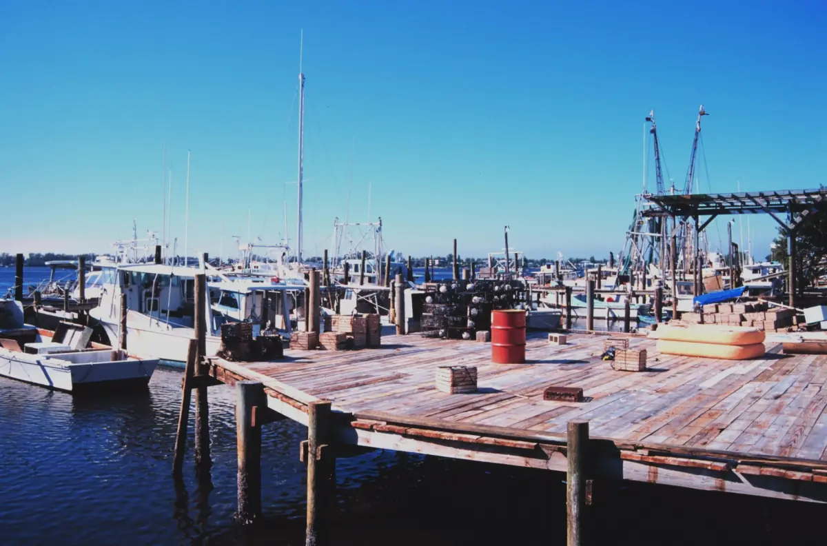 Fishing boats and wooden docks at a working harbor in Cortez