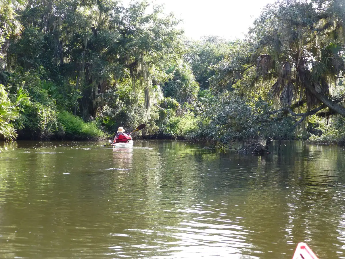 Single kayaker paddling on a quiet waterway under overhanging trees