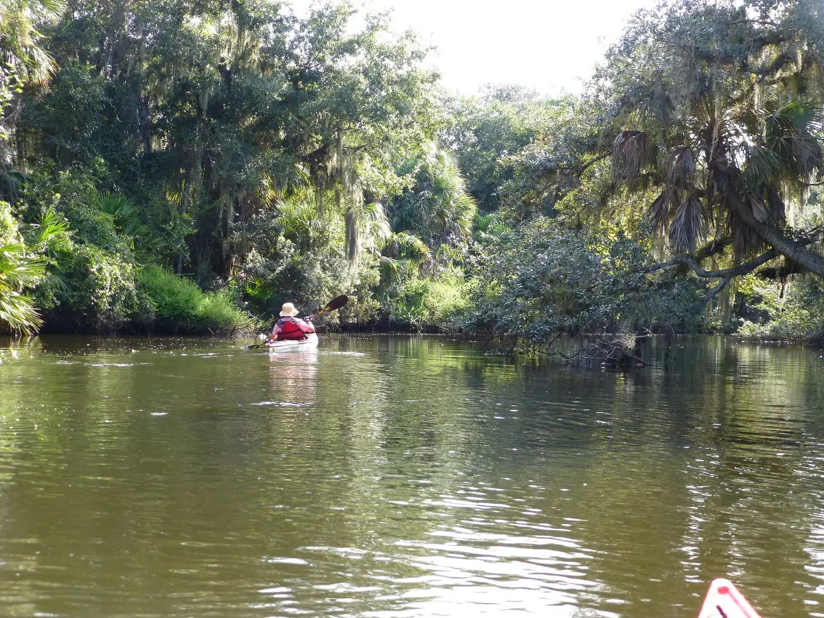 Single kayaker paddling on a quiet waterway under overhanging trees